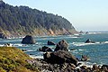 Parc national de Redwood.