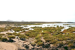 Skyline of Tinajo