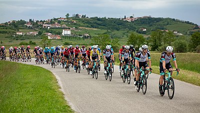 Peloton on Stage 15