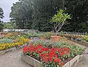 The display garden