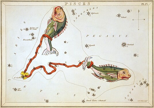 Segunda edición con "Piscis" rodeado por las estrellas circundantes. Presentación "Plenamente coloreada".