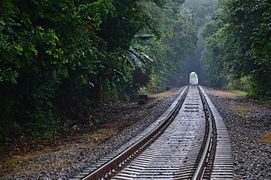 Panama Canal Railway