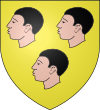 Blason