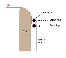 Schematic of two-ring skin mounting