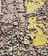 Physical weathering of the pavements of Azad University Science and Research Branch, which is located in the heights of Tehran, the capital of Iran