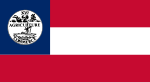 Tennessee (1861, tervezet)