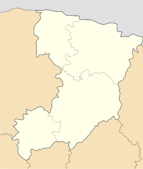 Radywyliw (Oblast Riwne)