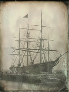 Champion of the Seas c1854