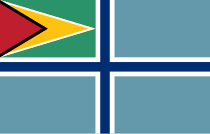 Wisselvormvlag van Guyana