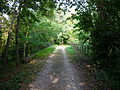 Ligne de Pamiers à Limoux, Saint-Amadou (14 août 2007)