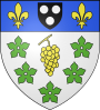 Blason de Bouafle