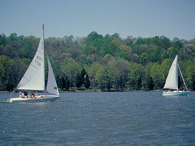 Sailboats on the lake.