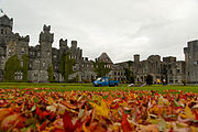 Autumn leaves at Ashford Castle