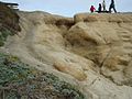 A stretch of rock eroded by wind, water, and sand