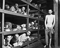 Nummer syv fra venstre i næstnederste række: Wiesel i Buchenwald koncentrationslejr, 16. April 1945, 5 dage efter befrielsen.