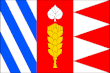 Vlag