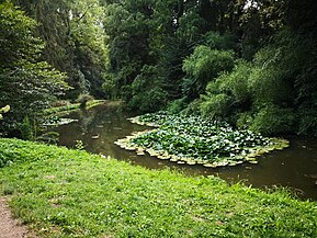 Lacul din parcul dendrologic Simeria