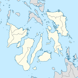 VMA Global College is located in Visayas