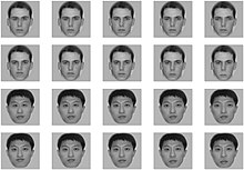 Four faces, two caucasian (first two rows) and two Asian (last two rows) as well as their edited counterparts. The middle face of each row is the original face upon which the manipulations were made. The leftmost face has eyes or mouth 20% smaller than the original (the middle face), the face located second from the left has eyes or mouth 10% smaller than the original, the rightmost face has eyes or mouth 20% larger than the original, and the face located second from the right has eyes or mouth 10% larger than the original.