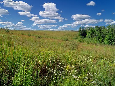 Flickr - Nicholas T - Prairie Walk (3)