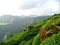 Westghats bei Lonavla, Maharashtra