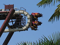 Sequoia Magic Loop