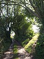 Avon Estuary Walk.