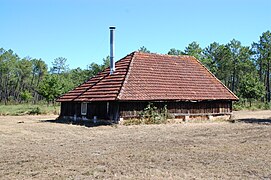 Cabane