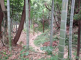 東郭下の折れのある空堀