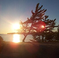 Shoreline of Georgian Bay