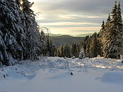 Inverno nell'Oberharz.