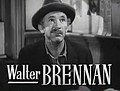 Walter Brennan como Coronel