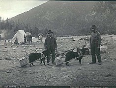 Dog-travois, Alaska 1897