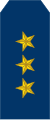 Colonel