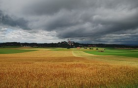 Depuis les champs agricoles