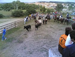 Encierru a caballu