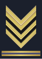 Distintivo di grado di secondo capo scelto della Marina militare.