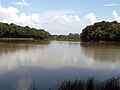 L'étang Verchat dans la forêt communale.