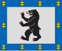 Bandeira de Šiauliai