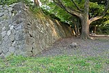 谷積み（駿府城 静岡県 向かって右の石垣）