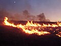 Image 10Lightning-sparked wildfires are frequent occurrences during the dry summer season in Nevada. (from Wildfire)