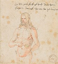 Albrecht Dürer weist auf seine Malaria-Symptome hin