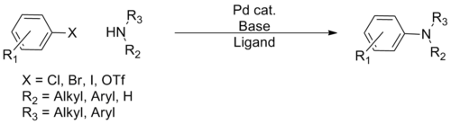 The Buchwald–Hartwig reaction