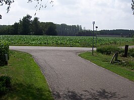 Kruispunt aan het Mathijseind