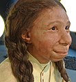 Isang rekonstruksiyon ng Homo neanderthalensis