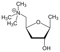 Structuurformule van muscarine