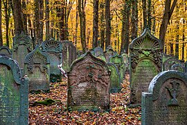 Pierres droites ouvragées devant un bois aux couleurs d'automne.