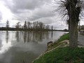 Les bords de Loire à Ousson-sur-Loire.