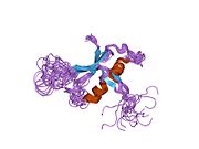 2bye: Estrutura de RMN en solución do dominio da fosfolipase C epsilon RA 1