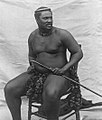 Cetshwayo overleden op 8 februari 1884